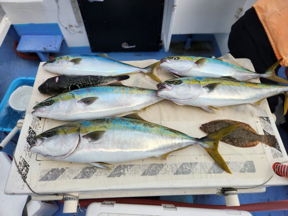 明日からも楽しみです!朝の飛び入りOKですよ