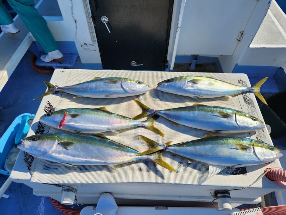 明日からも楽しみです！