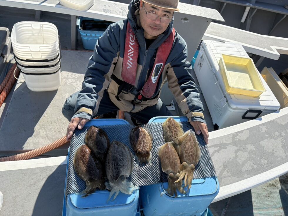 コウイカ絶好調ー！