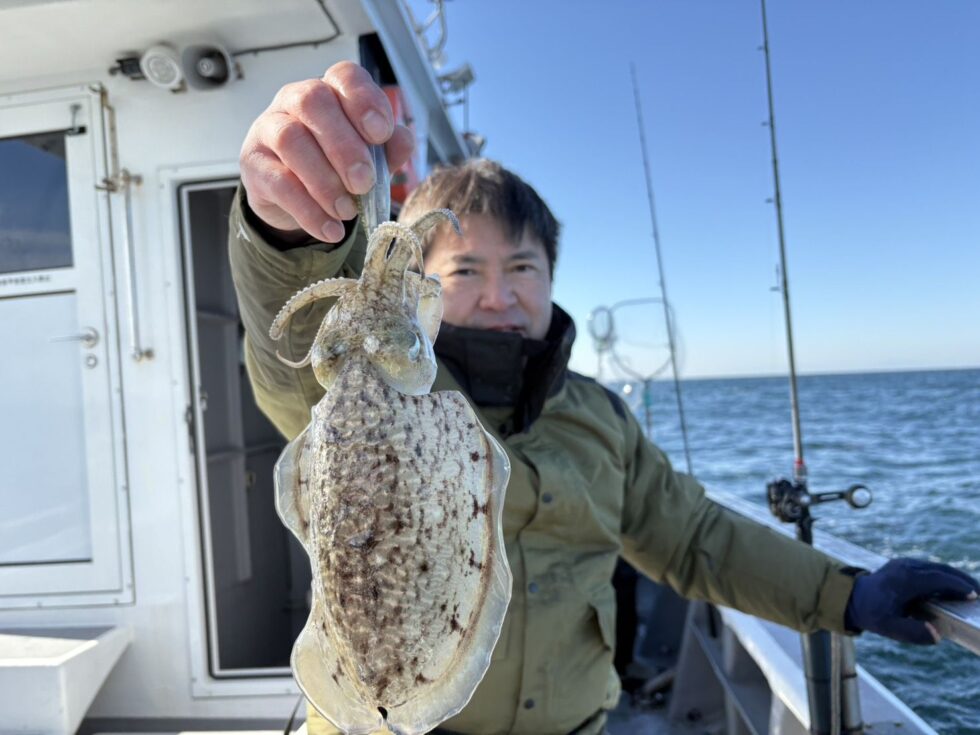 絶品コウイカリピーター様続々です！