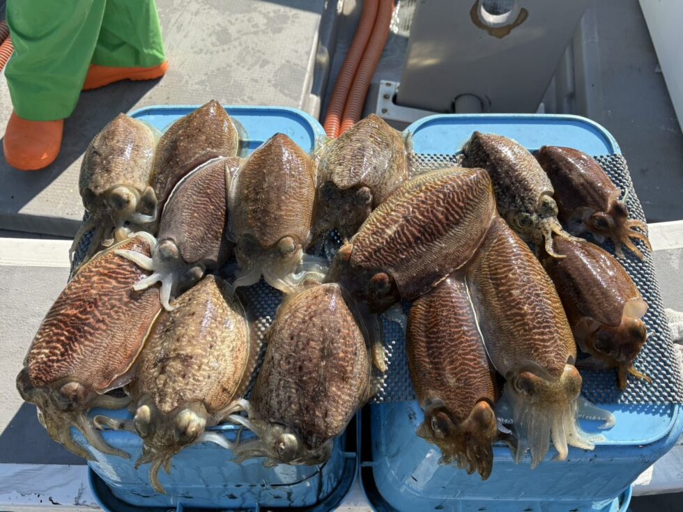 竿頭14杯っ！ぼこぼこー