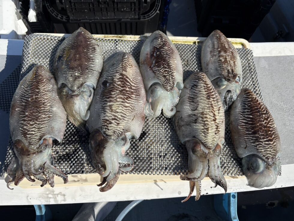 第十一ゆうき船長好ポイント大あたり！