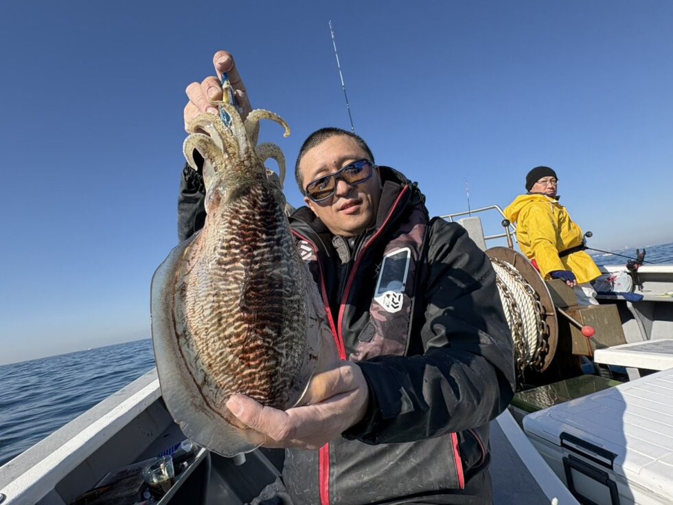 ジャンボコウイカ！