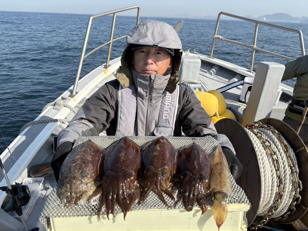 コウイカ&ヤリイカ！