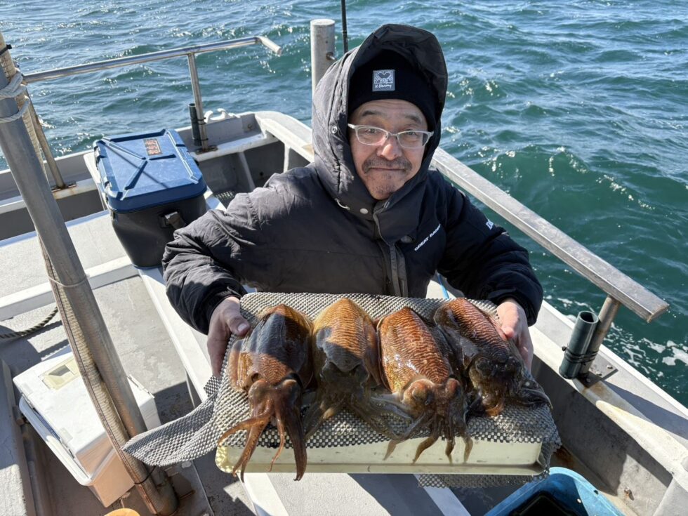 コウイカ好調ー！1/24(土)コウイカ出船確定、空き多数