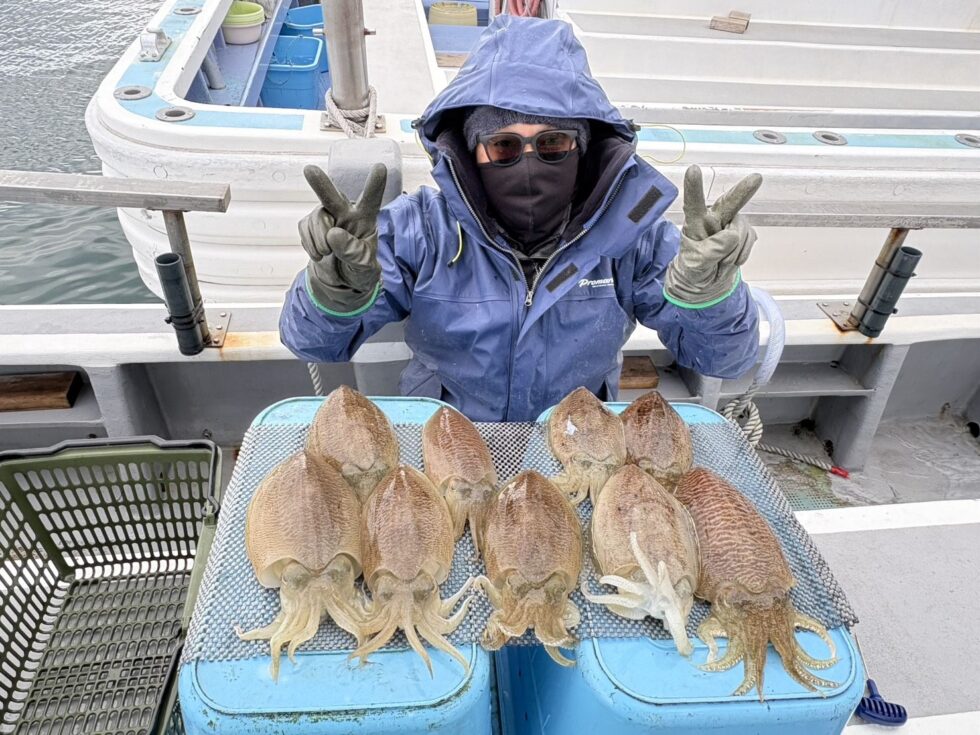 肉厚コウイカ爆発!のりのり!