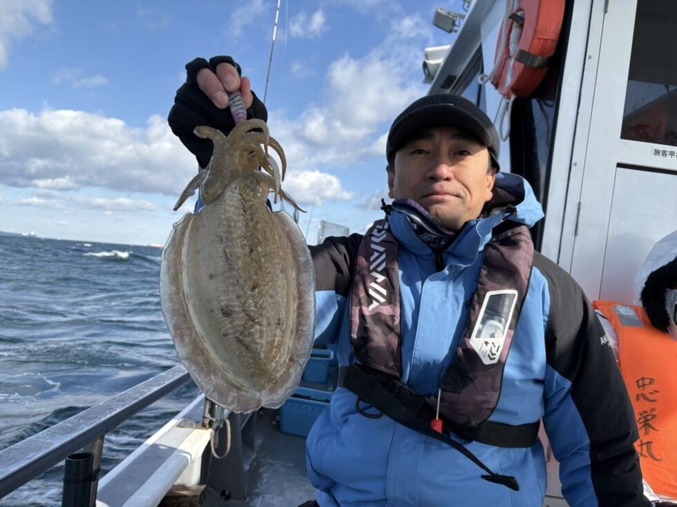 価値あるコウイカ!