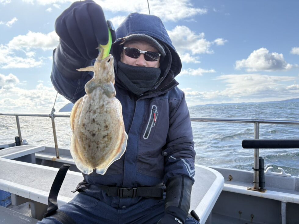 肉厚コウイカリピーター様続々です!