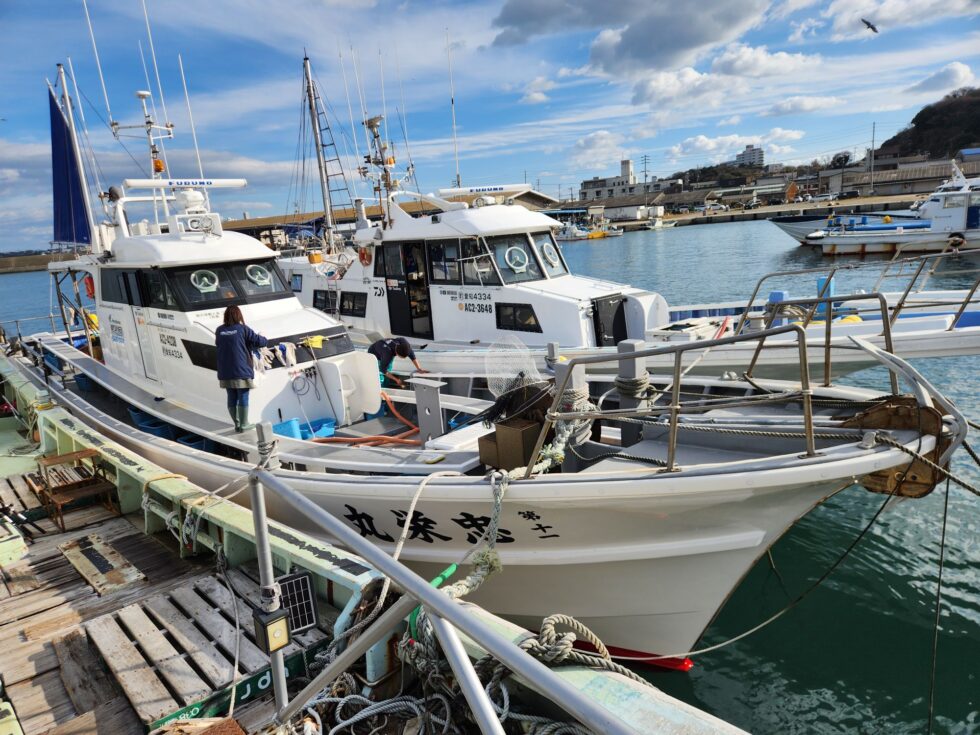 1/3、泳がせ船、コウイカ船、出船確定です。予約受付中