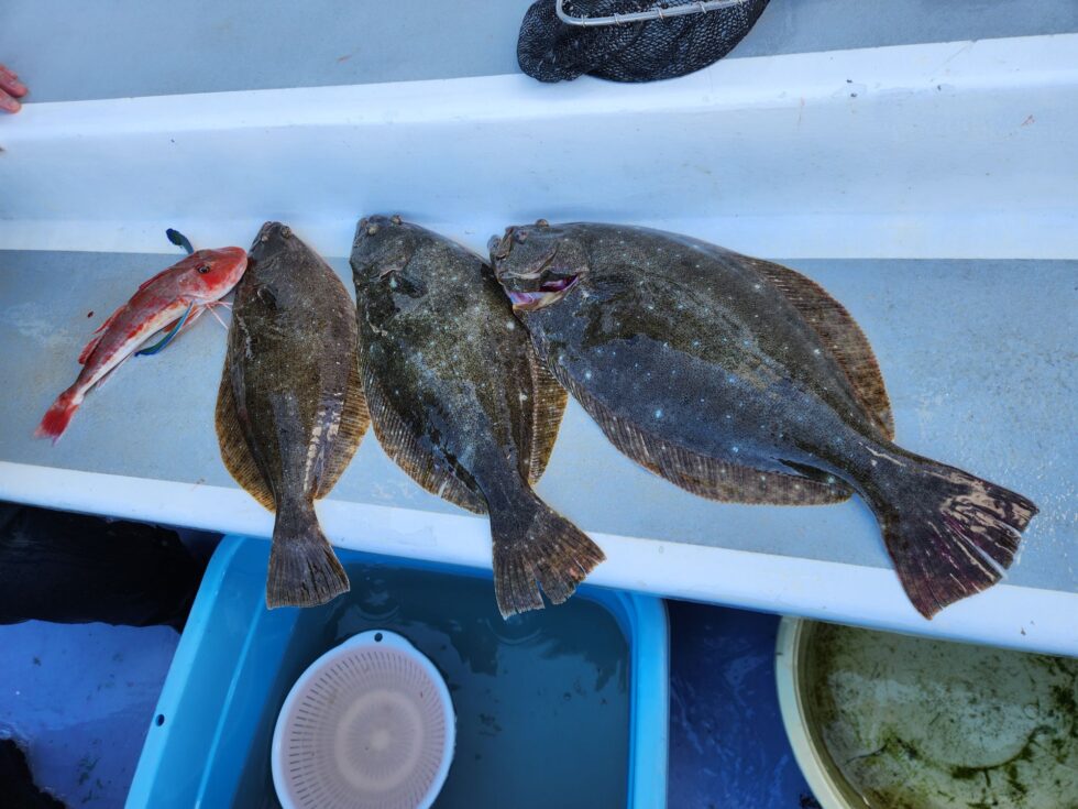 明日からも楽しみです