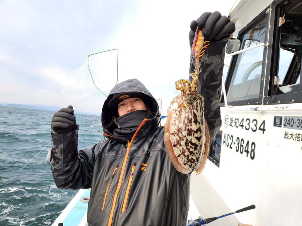 肉厚コウイカ大チャンス！泳がせ船も募集中！