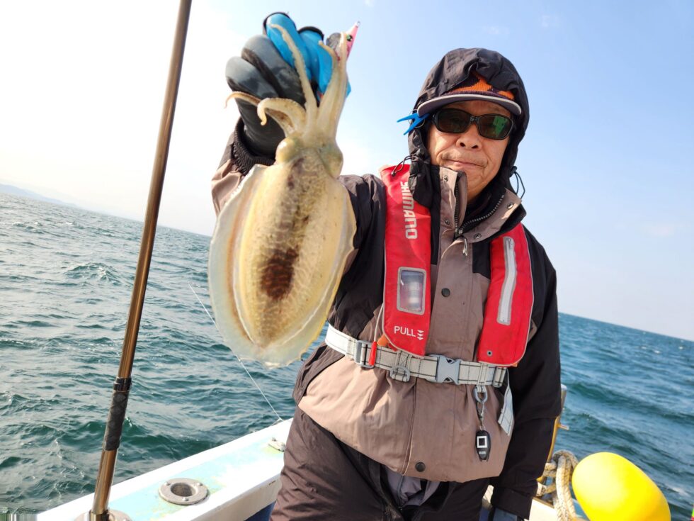 伊勢湾コウイカチャンス！