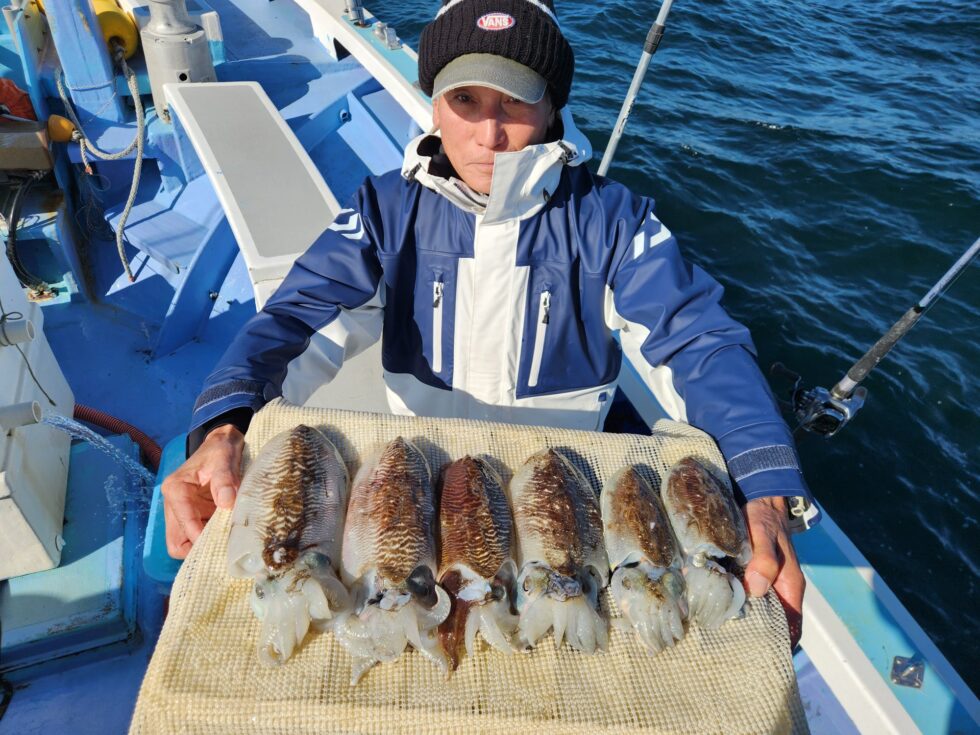 善は急げ！大チャンスです！