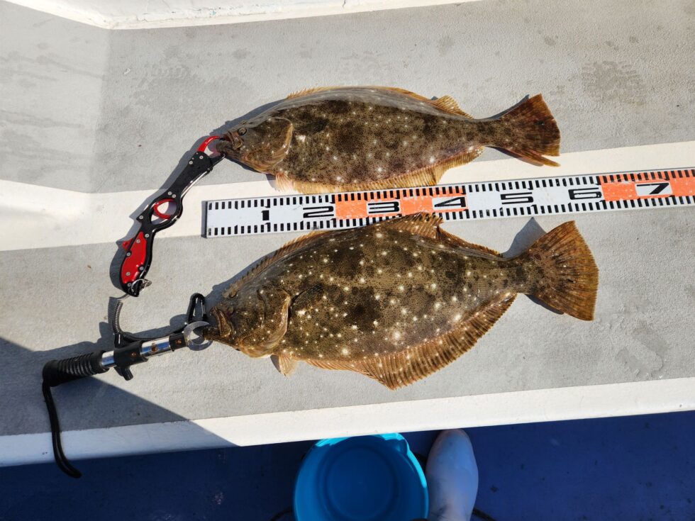 ほとんどが60㎝級！凄い１日！