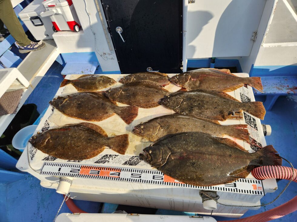 大型ヒラメ爆発！