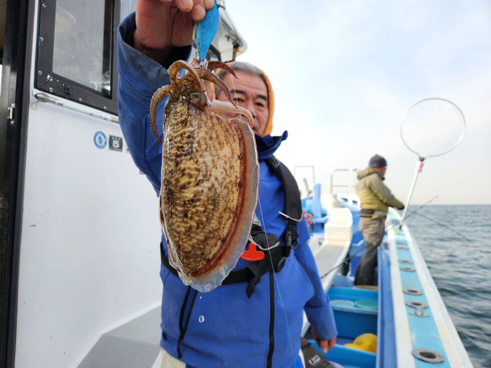 日に日にサイズアップ!