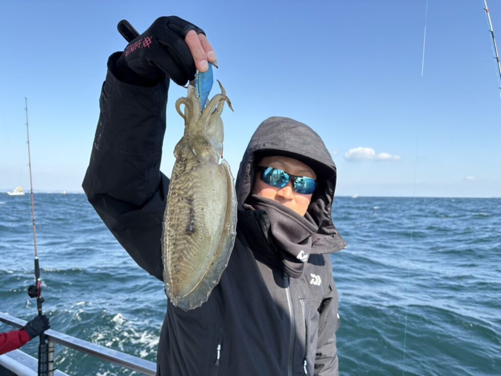 泳がせ船、コウイカ船、好調ー!