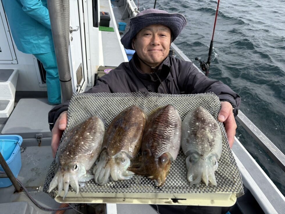 コウイカ良い感じ！
