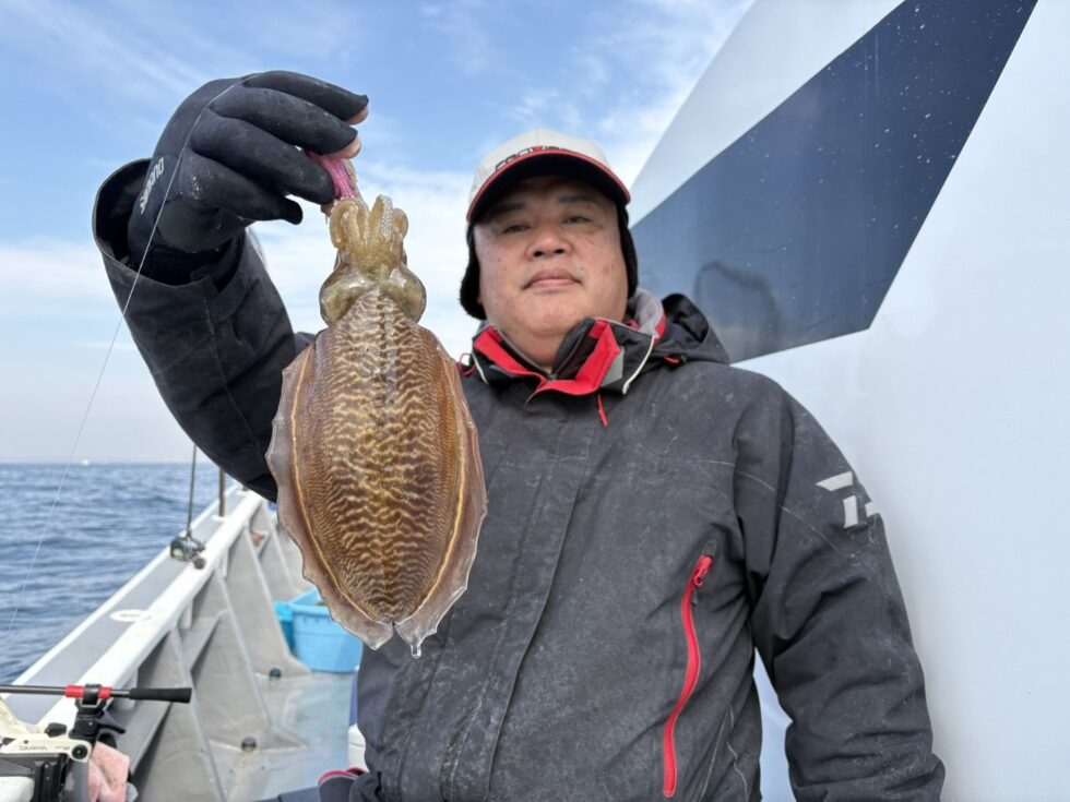 明日(土)コウイカ船、空き多数