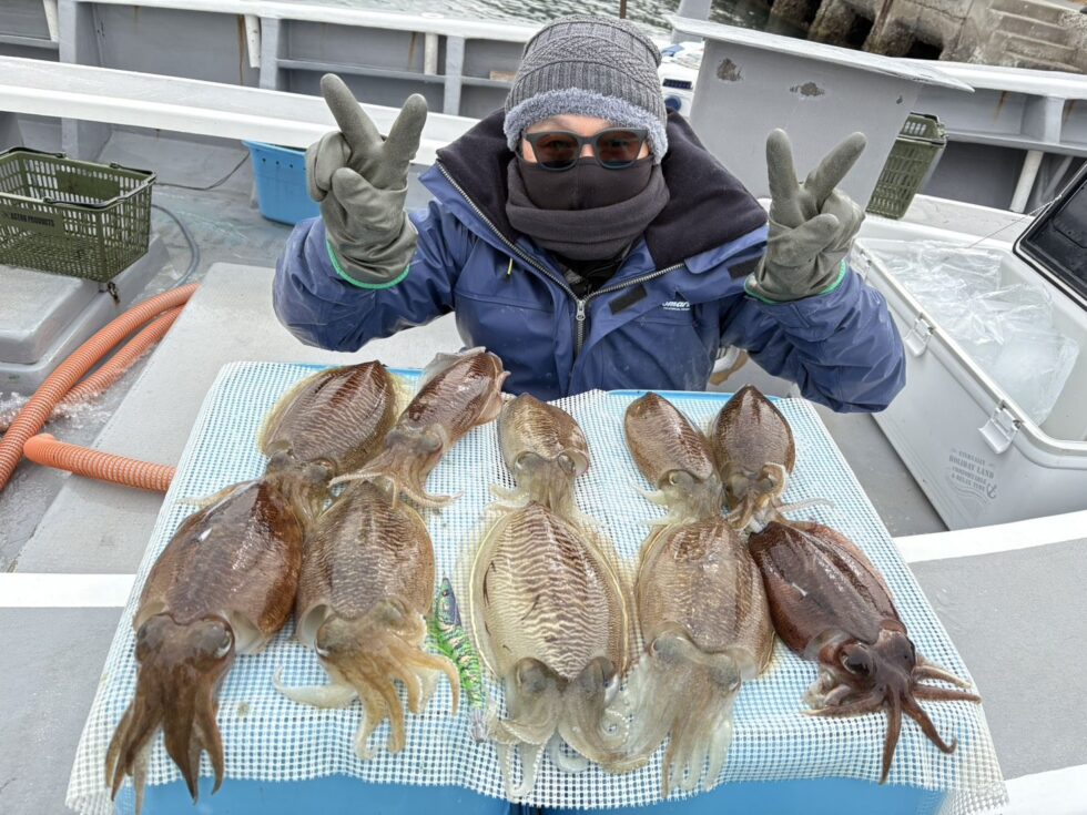 コウイカ爆乗り！竿頭10杯！お見事です！肉厚コウイカ大チャンス到来！