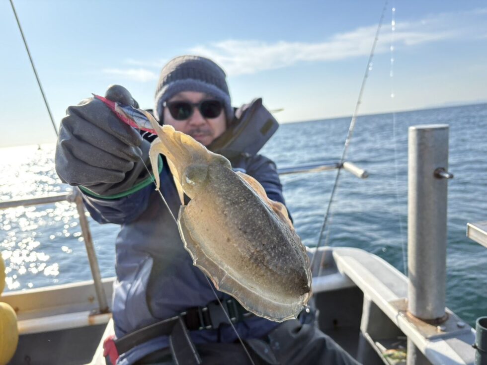 明日(水祝)泳がせ船、コウイカ船、出船です！かなり期待して下さいね