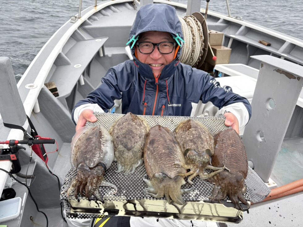 大チャンス到来!善は急げ!