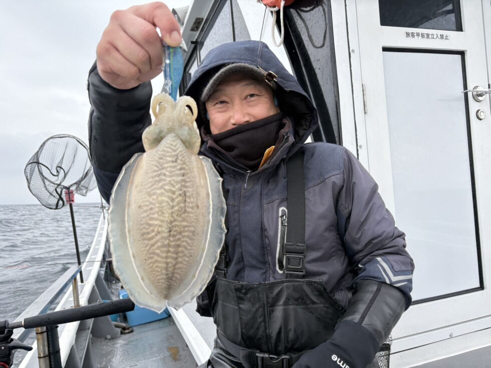 肉厚コウイカ大チャンス!