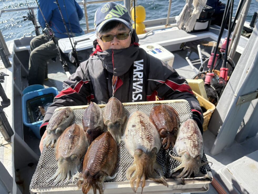 コウイカ爆乗り中！善は急げです！