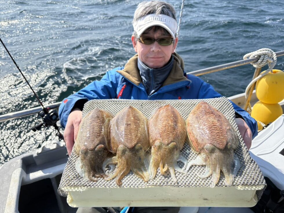 コウイカ攻略！