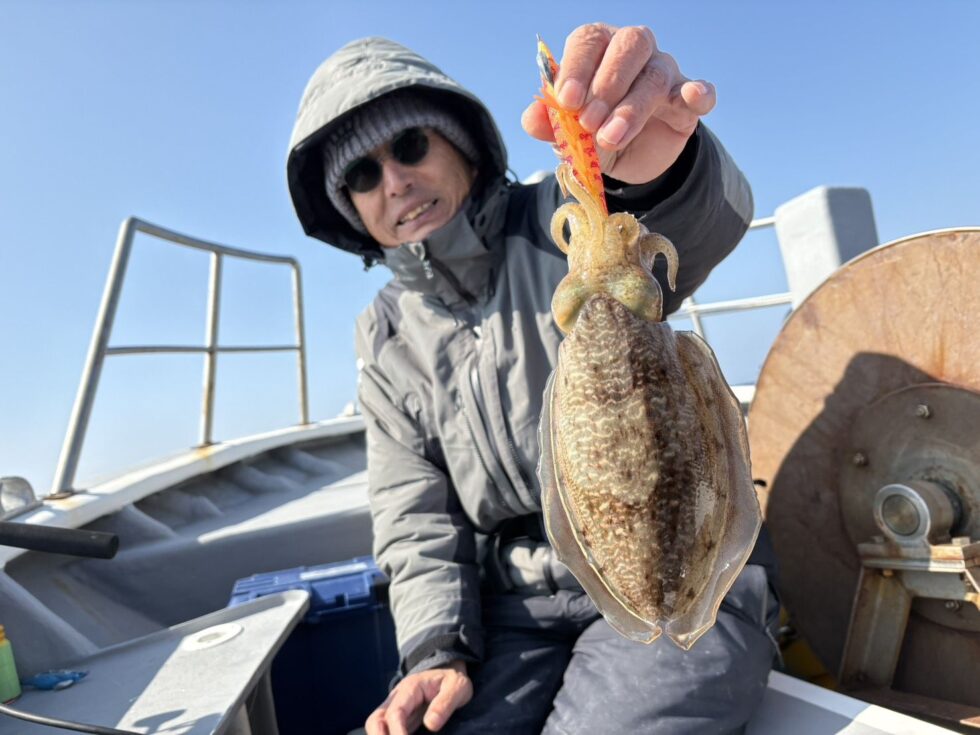 大チャンス到来中！