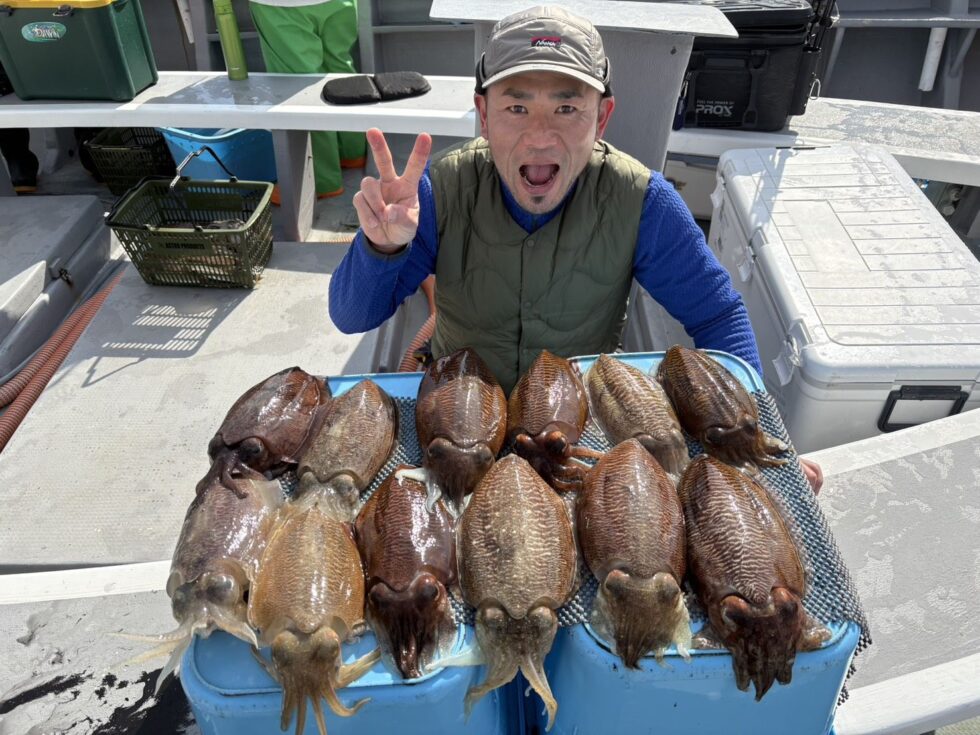 肉厚コウイカが凄いことになってます!