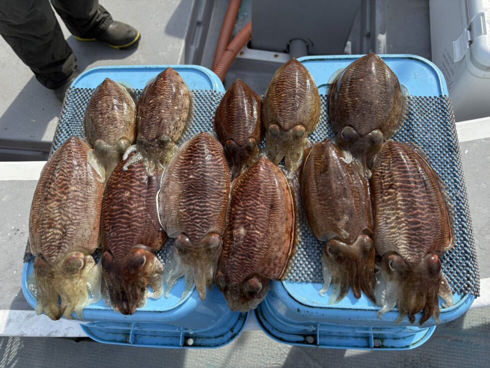 脅威の船中89杯を記録!