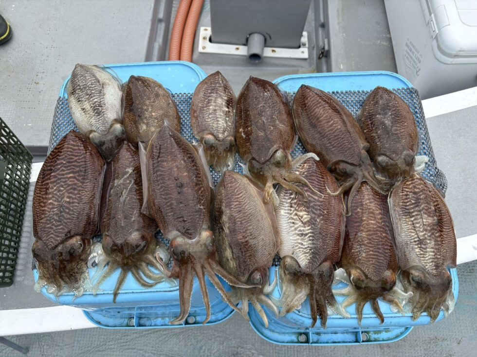 NEWポイント開拓！凄いことになってます！