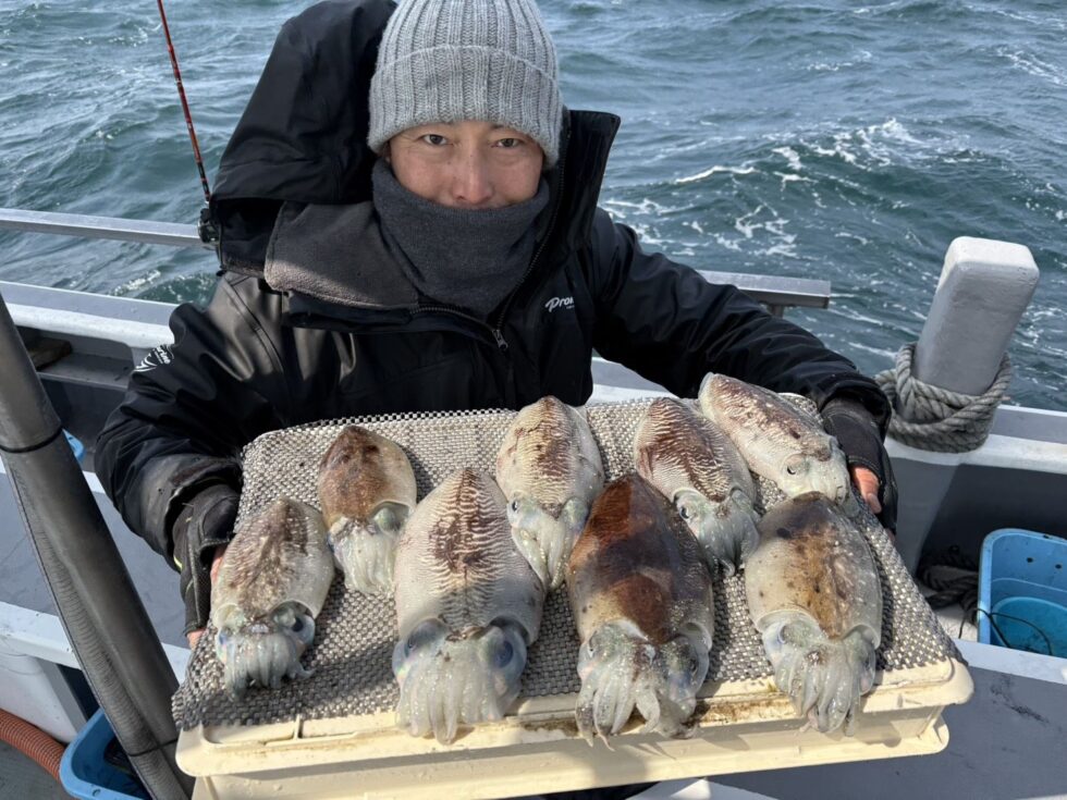 伊勢湾コウイカ釣り絶好調ー！