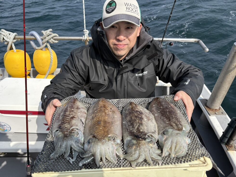 大チャンス到来中！