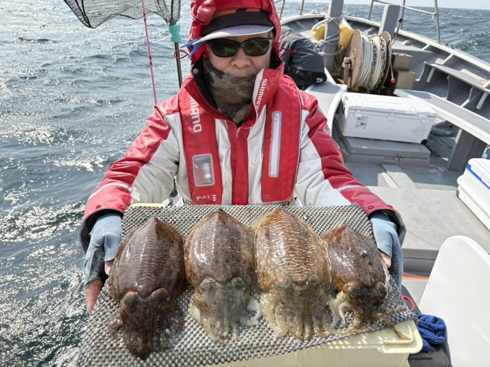 NEWポイントコウイカ炸裂中！