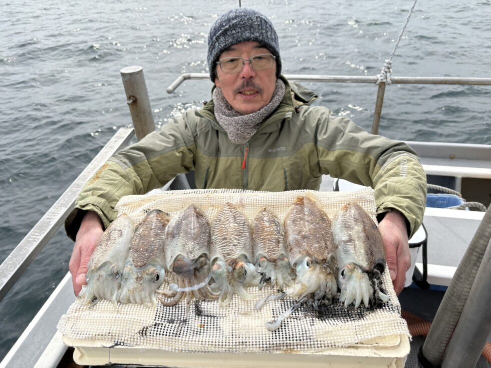 肉厚コウイカ釣りまくりー!