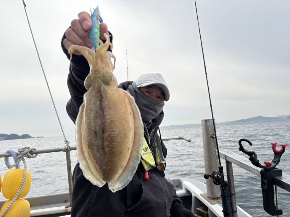 ボリュームが凄い!