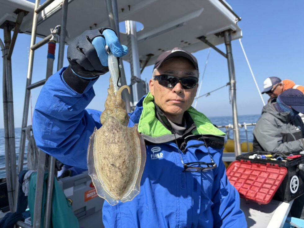 人気の肉厚コウイカ!