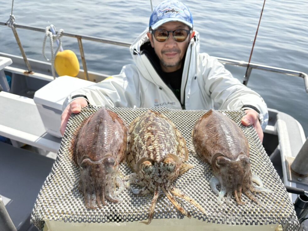 明日(水)ウタセ五目釣り、コウイカ釣り、出船確定です！朝の飛び入りOK