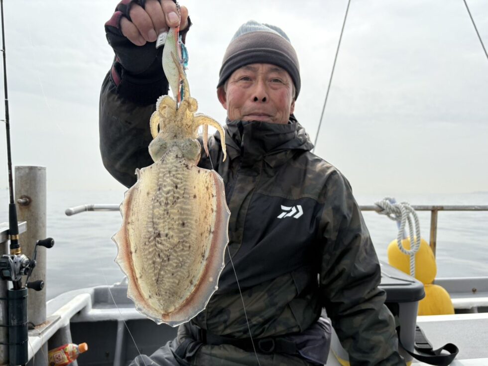 絶品コウイカ！