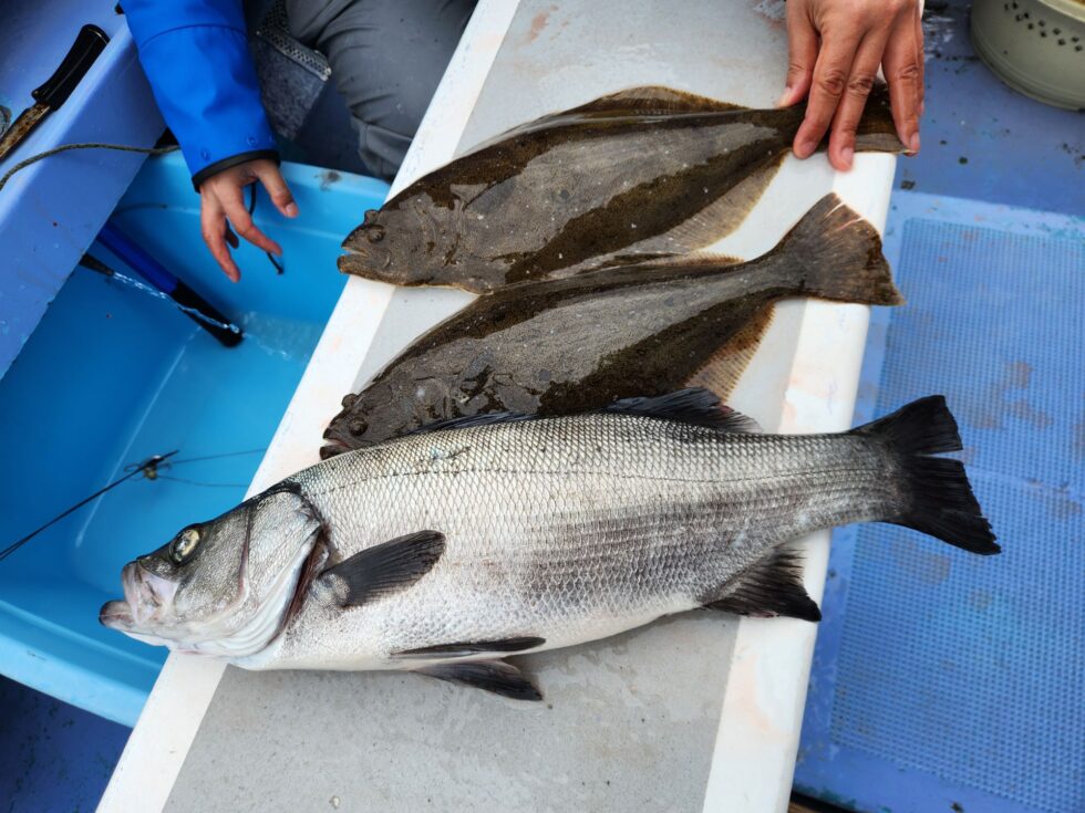 泳がせ船、コウイカ船、予約受付中！