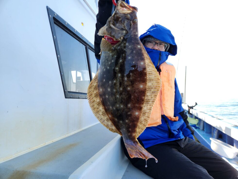 泳がせ釣り、コウイカ釣り、予約受付中!