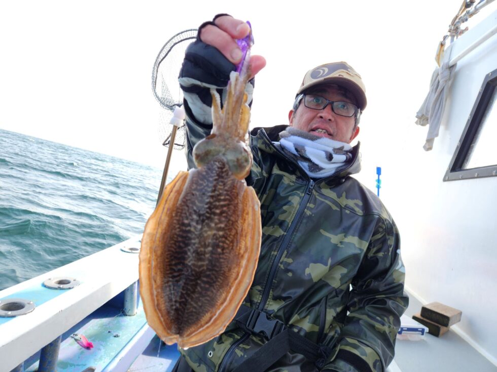 肉厚絶品コウイカ！