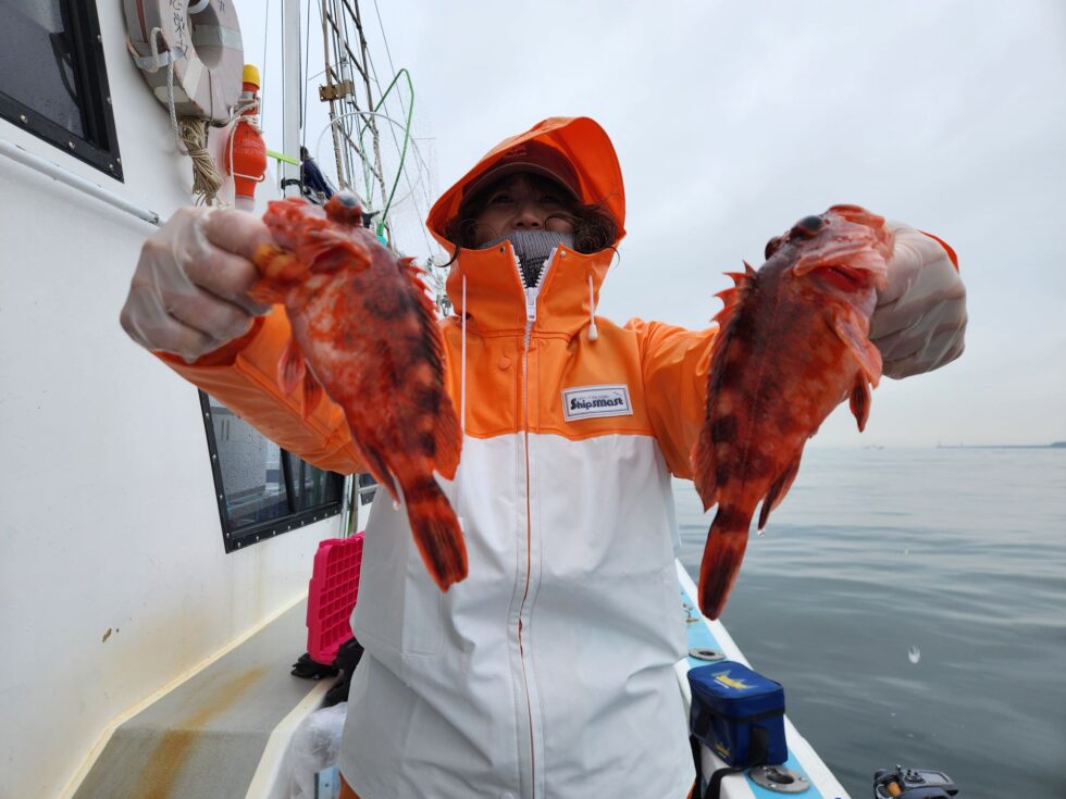 イシグロ岡崎大樹寺女性スタッフさん良型カサゴ！