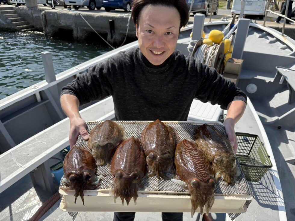 肉厚コウイカのりのり!