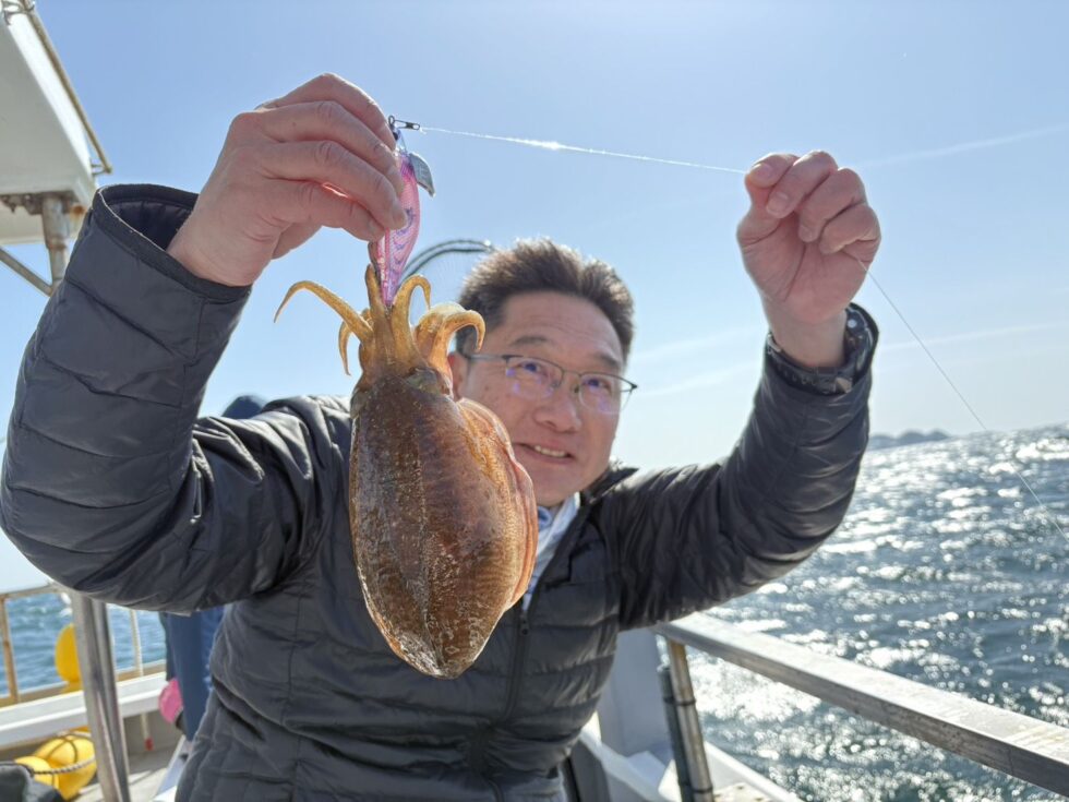 人気のコウイカ!