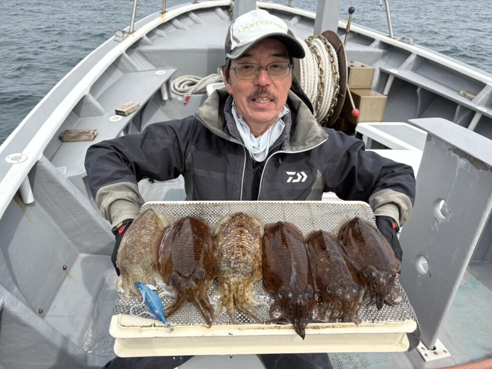 肉厚コウイカ絶好調ー！