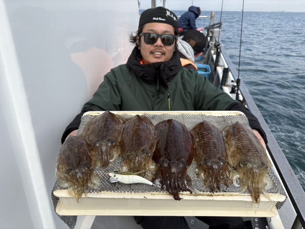 肉厚コウイカぼこぼこタイムあり！