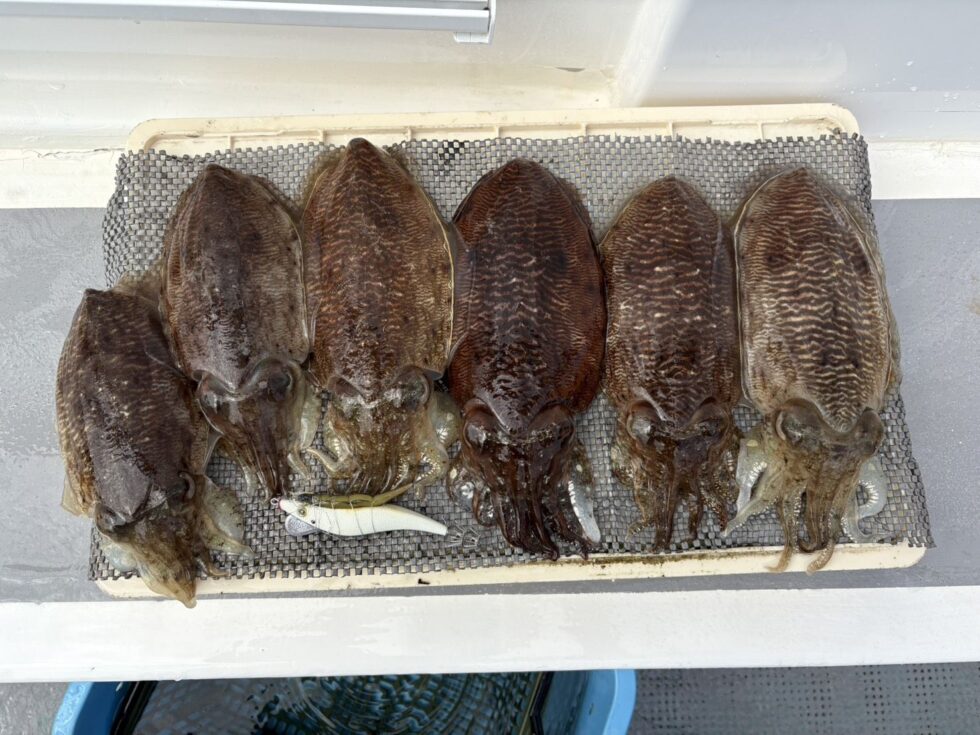 盛り上がりましたよ